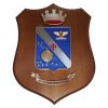 CREST IN METALLO SMALTATO BASE LEGNO 22,5X17,5CM IST.GEOGRAFICO MILITARE