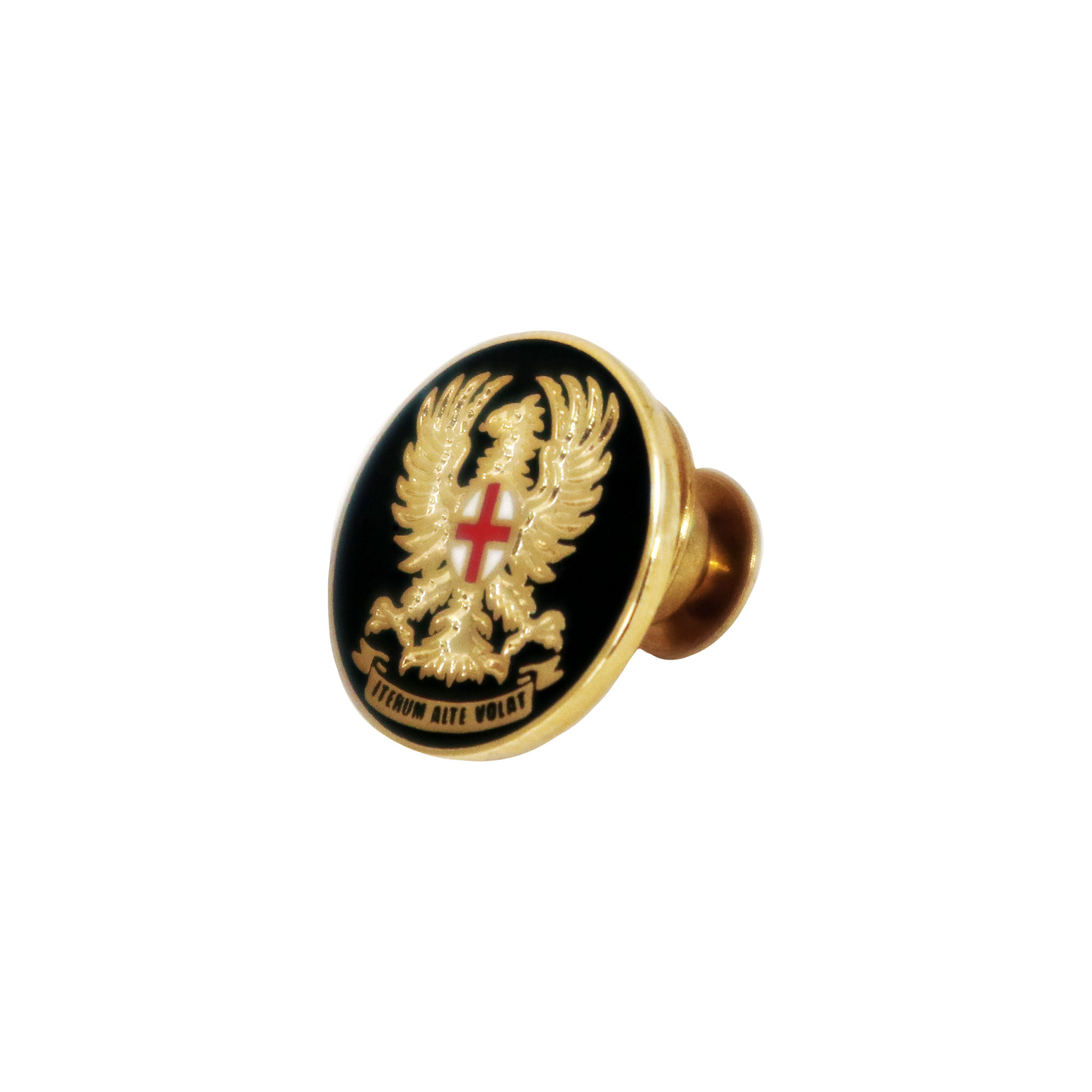DISTINTIVO IN METALLO SMALTATO SCUOLA MILITARE TEULIE' E.I.