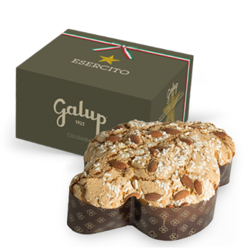 COLOMBA GRAN GALUP EI: